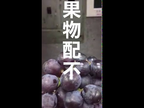 果物配不配EP2：巨峰葡萄-溥濤