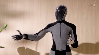 A humanoid robot to help you around the house | REUTERS