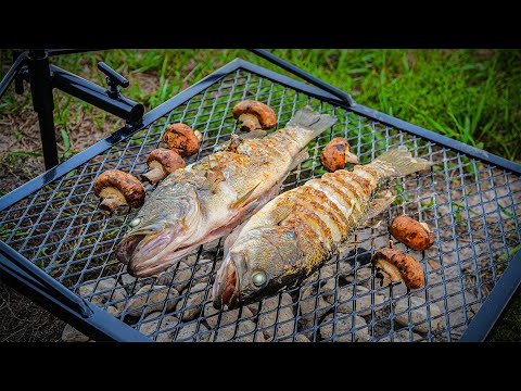 PESCAMOS 2 Fritos e Fizemos em um GRILL de Acampamento