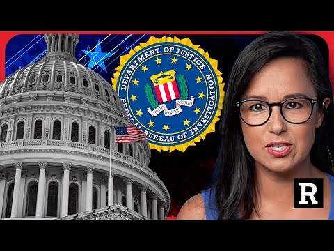 "The FBI had informants in the crowd and lied about it" FBI Whistleblower | Redacted w Natali Morris