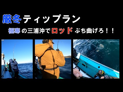 【ティップランエギング】極寒の三浦沖でアオリを探せ！（相模湾☓佐島）