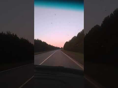 Дорога #видео #automobile #шортс #рыбалка #shortsvideo #природа