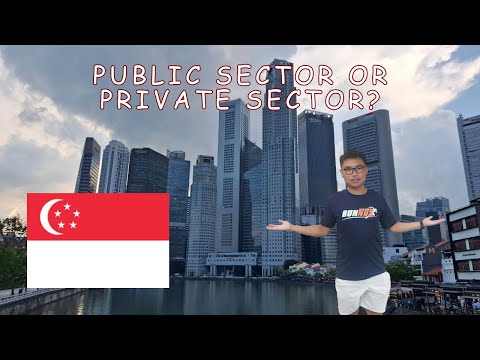 Singaporean's Take: Public vs Private Sector Jobs 🏠