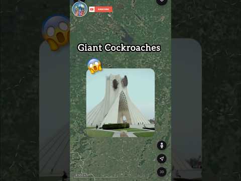 Giant Cockroaches Found On Google Earth😱 #shorts