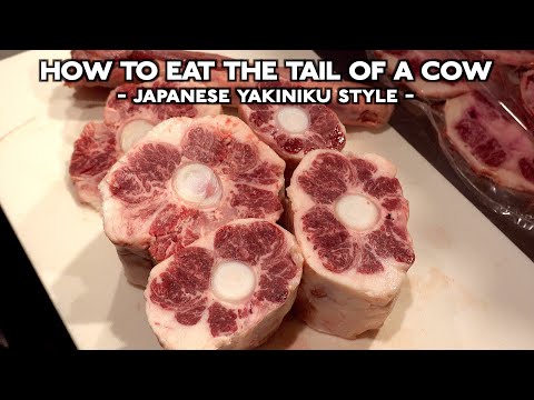 How do you eat the tail of a cow!?