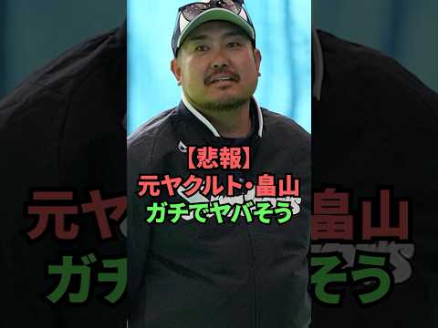 【悲報】元ヤクルト・畠山ガチでヤバそう