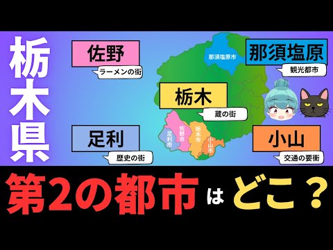 【栃木県 第2、第3の都市はどこ？】小山、佐野、足利、栃木、那須塩原の都会度を徹底比較！！