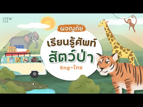 การ์ตูนทายศัพท์ สัตว์ป่า | Animals | Eng - ไทย | เพลงเด็ก | Camping Trip by LittleLot