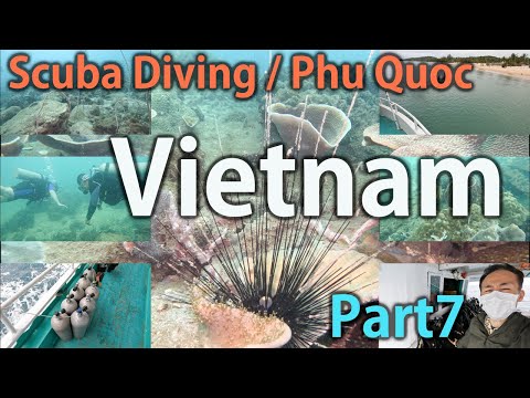 Diving Mishap happened! Phu Quoc Tour [Vietnam Day 3 Part 7]