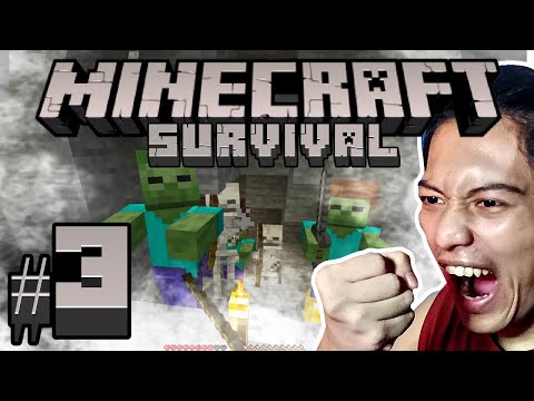 I got AMBUSHED | Minecraft Survival #3