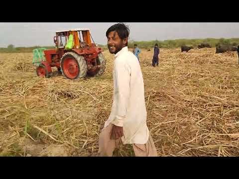 sugarcane farming 😳 Tractors 🚜 High performance