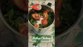 Pudina Chutney | Mint Chutney | Mint Leaves Chutney | Summer Special Recipe #pudinachutney