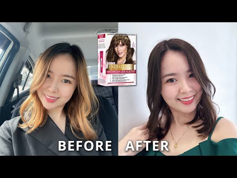 L’Oreal Paris Excellence Creme 04 【Brown】Hair Dye  欧莱雅【棕色】三重护发染发霜