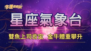 【命運好好玩】2024/12/27星座運勢 - 雙魚上司肯定 金牛體重攀升