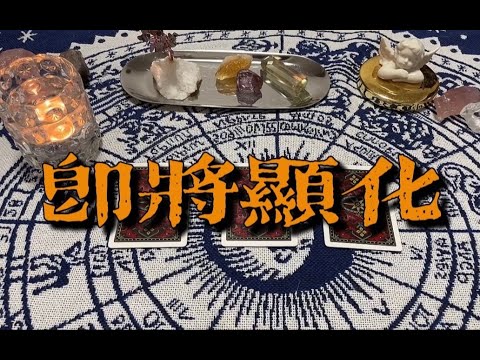 这些事情 即将显化！～｜小滋润扑克牌 - 方片A组