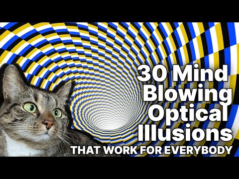 Optical Illusions that Work for Everybody - by Still (1440p/60fps)