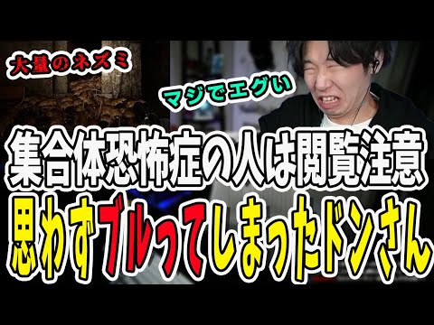 俺はここにいるぜ！2人呼ばれて飛び降りたらまさかの事態になったドンさん【三人称/ドンピシャ/ぺちゃんこ/鉄塔/切り抜き/S.T.A.L.K.E.R.2】