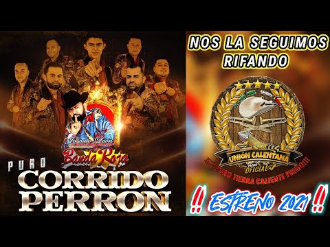 Nos La Seguimos Rifando / Josecito León y Su Internacional Banda Roja / Estreno 2021