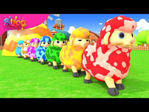 Baa Baa Black Sheep Song | Colorful Sheep | BluLoo Nursery Rhymes & Kids Songs