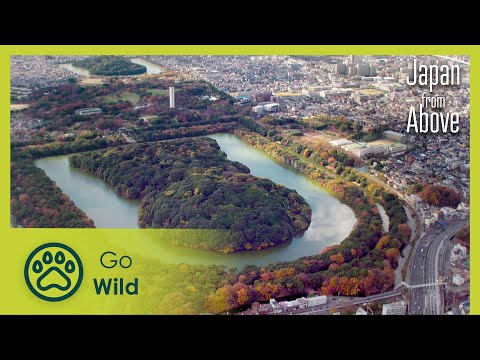 The Cradle of Traditions | Japan From Above 3/5 | Go Wild