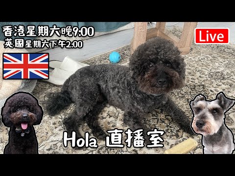 🔴Live-Hola 英國直播室 香港:期六晚上九點 英國 下午兩點