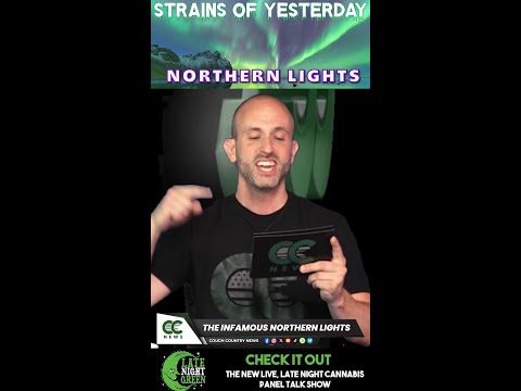 Strains of Yesterday - Northern Lights