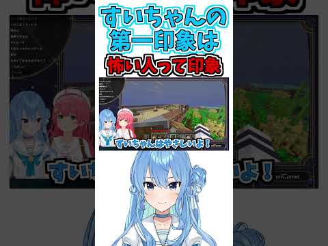 最初みこちには警戒されていた…【星街すいせい/さくらみこ】【ホロライブ切り抜き】