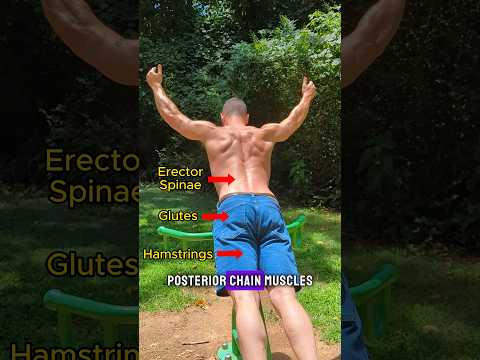 Try This Exercise For Low Back Pain and Better Posture #lowbackpain