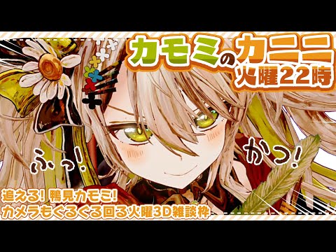 【声ききたかったでしょ？】浮上！ふっかつ！近況報告しつつこれからの展望を語るのだ✨／火曜22時🦆カニニ雑談【#鴨見カモミ／CAMOMI Camomi】