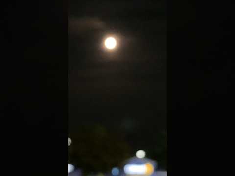 Full Moon #short #moon #yt #ytshorts #shortvideo  #rothel13