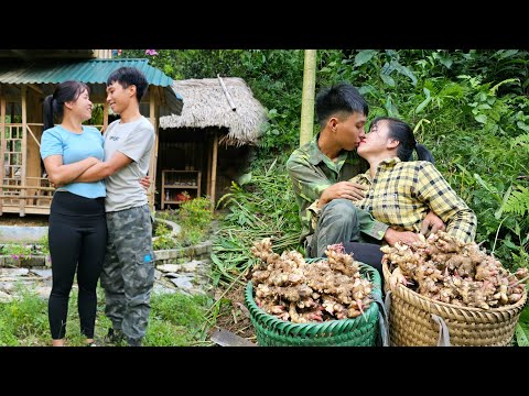 Harvesting ginger and selling it at the market, Linh's life becomes more beautiful. Linh's Life