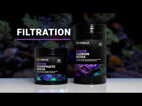 Filtration for Saltwater Aquariums