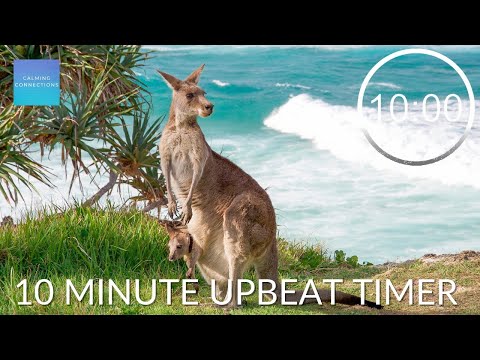 10 Minute Countdown Timer With Upbeat Music ⏲ Kangaroos 🦘10 minute timer relaxing pack up music