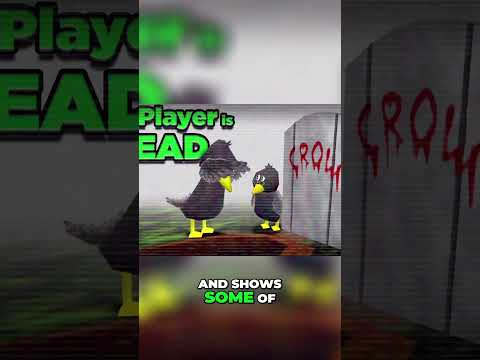 What Happened to Crow64 (Explained)