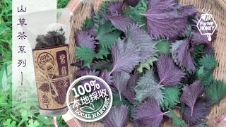 保健紫蘇茶【ForME HONEY】PURPLE SHISO Leaf Herbal Tea