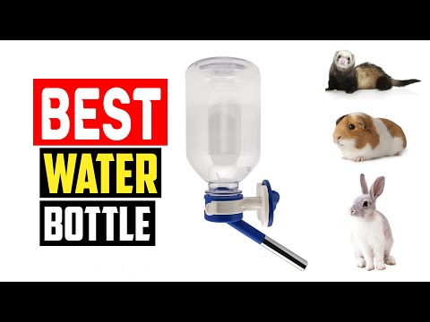 ✅Best Water Bottle for Hamsters in 2023