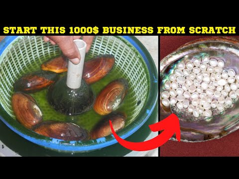 How to Start A Pearl Farming Business From Scratch - Quick Guide