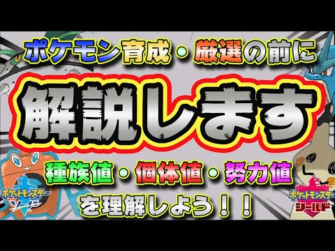 【ポケモン剣盾】すぐわかる！！種族値・個体値・努力値解説！！ポケモン育成厳選のその前に！！【初心者必見】【基礎知識】【ソードシールド】