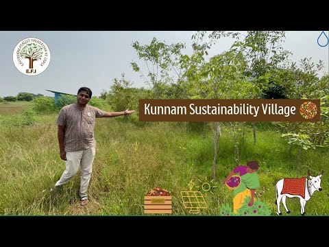 E.F.I's Sustainability Village - Clean energy, green food.