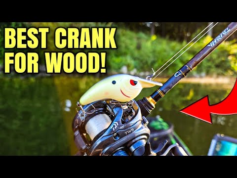 This Crank is AWESOME In Wood & Rock (Early Fall Crankbait Fishing)