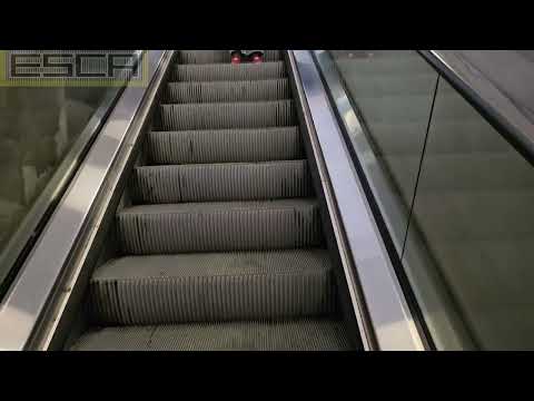 [Thailand] Makkasan station escalator up Thyssenkrupp