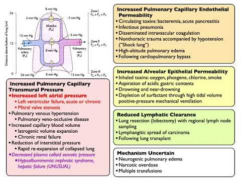 20210406 pulmonary edema and acute lung injury