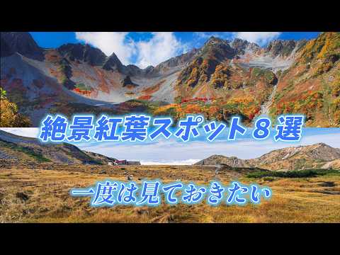 ”一度は見ておきたい絶景紅葉スポット8選” あなたの絶景見つかります！