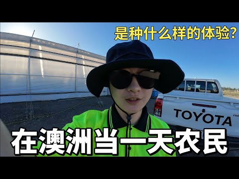 VLOG｜在澳洲农场工作的一天🇦🇺｜Australia farm job daily｜🎬DJI action4