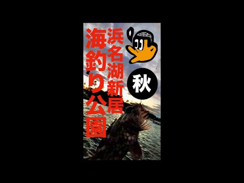 [初心者釣り日記]  浜名湖新居海釣り公園、強風の中小物を釣り上げまくる初心者 #shorts