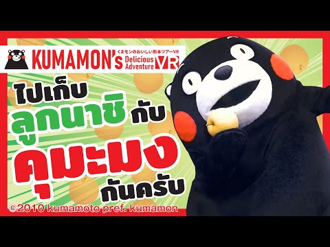 [VR180] ราชาลูกนาชิ (ผลไม้ ลักษณะเหมือนลูกสาลี) กับปราสาทคุมาโมโตะ