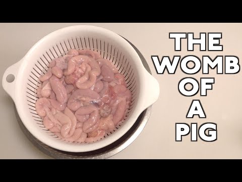 [Kobukuro (the womb of a pig] This crunchy texture is the best!