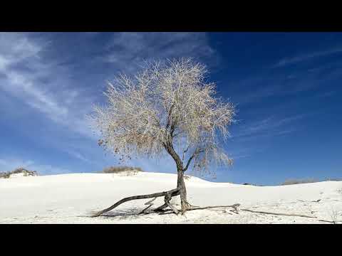 Kokopelli Waltz, Randy "Windtalker" Motz, Native American style flute