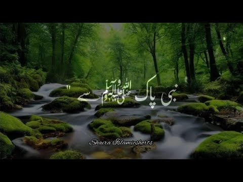 Nabi Paak 'ﷺ' Se Ek Sahaba Ne Pucha 🥀 | Islamic WhatsApp Status |