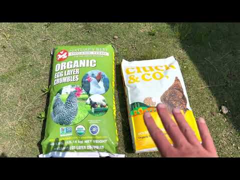 Tractor supply chicken feed issues?? (spring update)